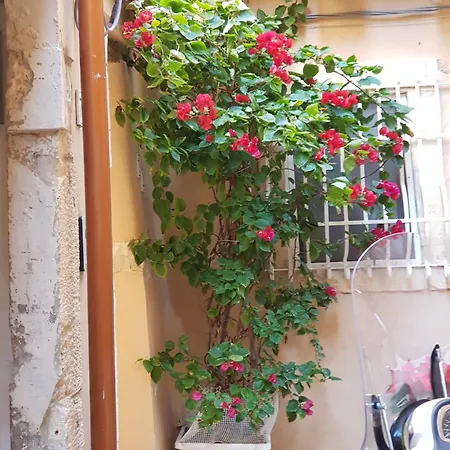 Ortigia Sefer Siraküza