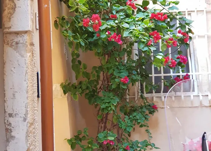 Ortigia Sefer 시라쿠사