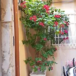 Ortigia Sefer Syracuse