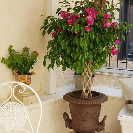 Ortigia Sefer